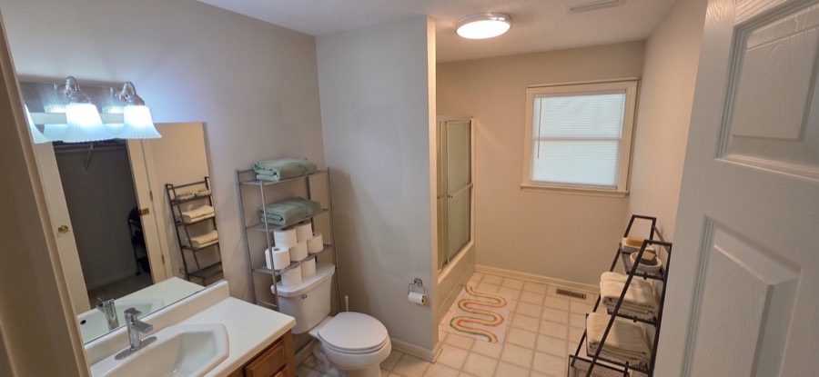 Lower level suite bathroom